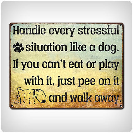 Handle Every Stressful Situation Like a Dog