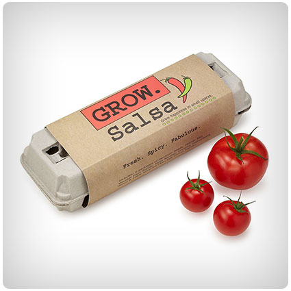 Salsa Grow Kit