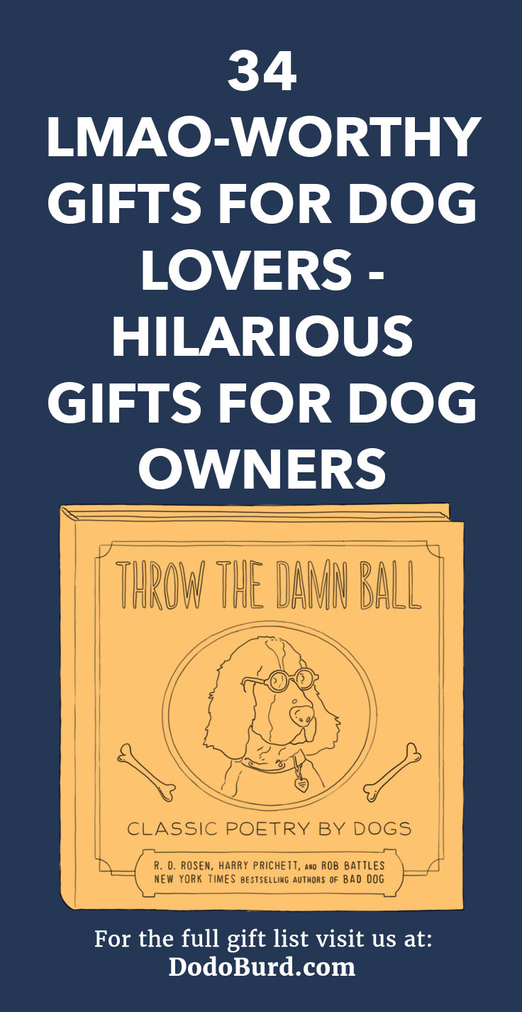 Bring out a dog lover’s sense of fun when you choose one of the hilariously funny dog gifts from this superb list.