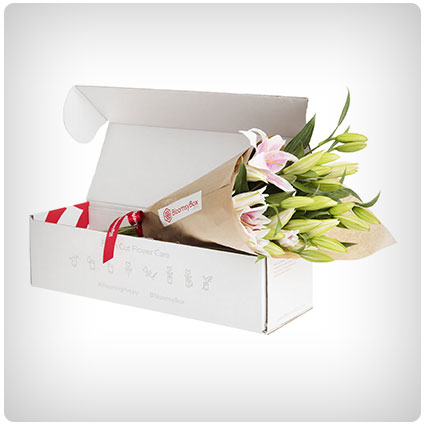 Bloomsy Box - Beautiful Flowers Every Month