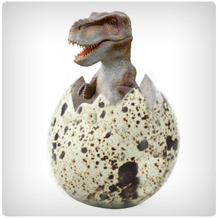 Diy Hatching Dinosaur Eggs