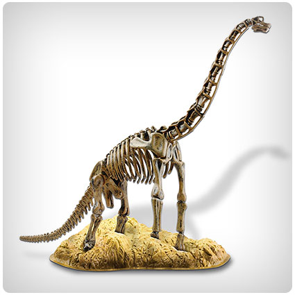 Elenco Edu-Toys Brachiosaurus Skeleton Model Kit
