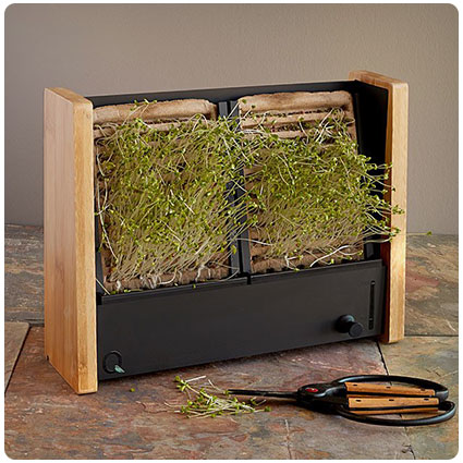 Microgreen Vertical Garden