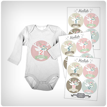 Modish Labels Monthly Baby Stickers