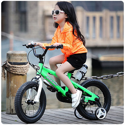 RoyalBaby BMX Freestyle Kid's Bike