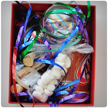 Diy Totally Awesome Kids Science Kit