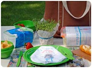 father's day picnic