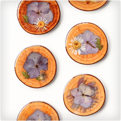 Dried Flower Coasters