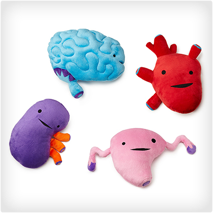 Plush Organs