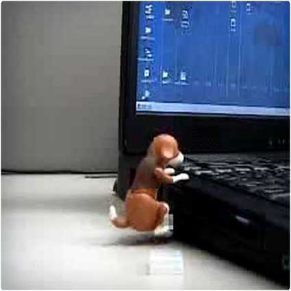 Humping-USB-Dog