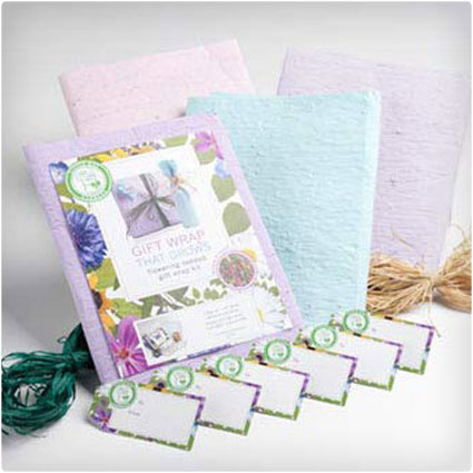 Gift Wrap That Grows Flowering Seeded Gift Wrap Kit