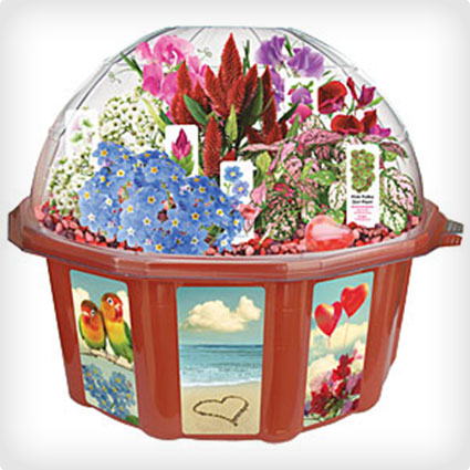 Grow Your Own Love Dome