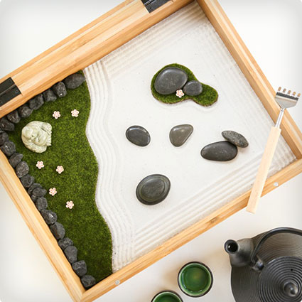 Mini Zen Garden