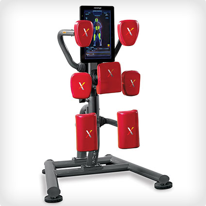 MMA Home Trainer