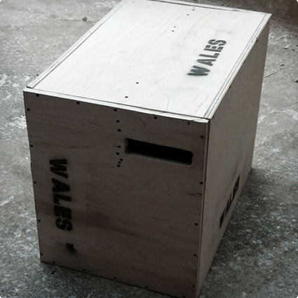 Plyo Box