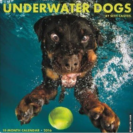 Underwater Dogs Calendar