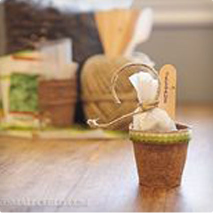 Herb Pot Favors