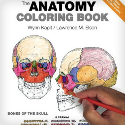 Anatomy Coloring Book