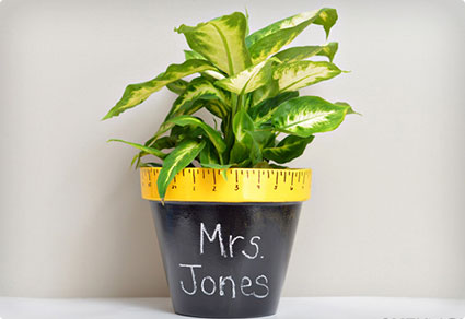 Chalkboard Pot