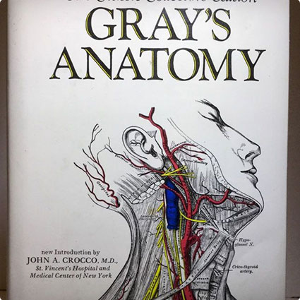 Gray's Anatomy