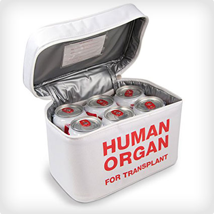 Human Organ Lunch Box