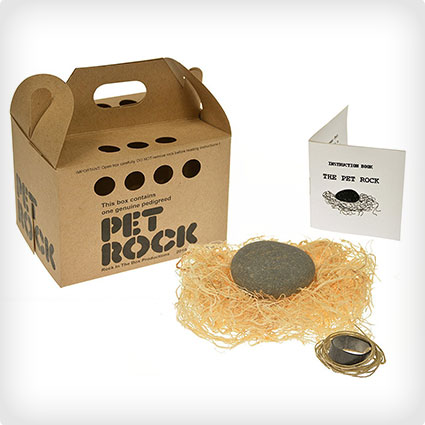 A Pet Rock