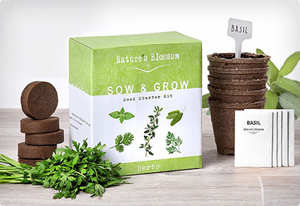 Grow Your Own Herbs