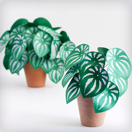 Paper Plants