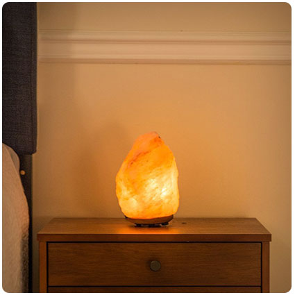 Himalayan Carved Salt Lamp