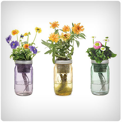 Mason Jar Indoor Flower Garden