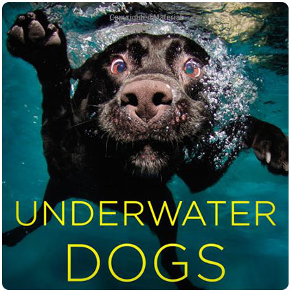 Underwater Dogs