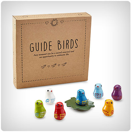 Guide Birds