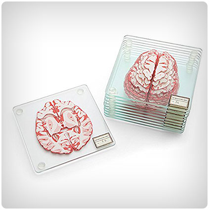 Brain Specimen Coasters