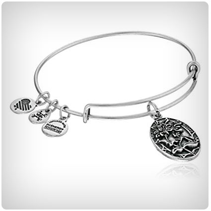 Alex and Ani Because I love you, Sister Expandable Bangle Bracelet