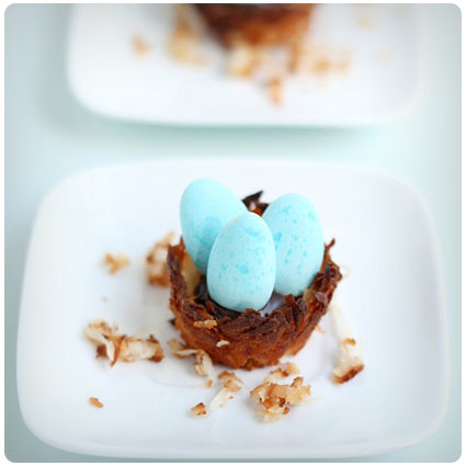 Diy Bird's Nest Macaroons