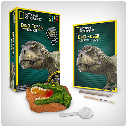 National Geographic Dinosaur Dig Kit