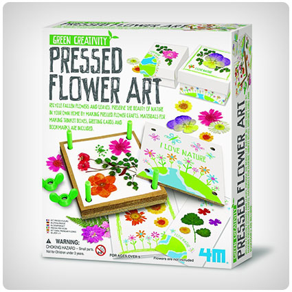 4M Pressed Flower Art Kit