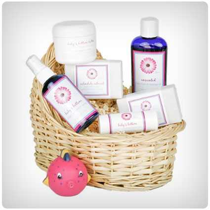 Deluxe Baby's Gift Basket