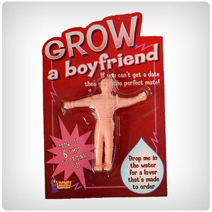 Novelty Grow A Boyfriend