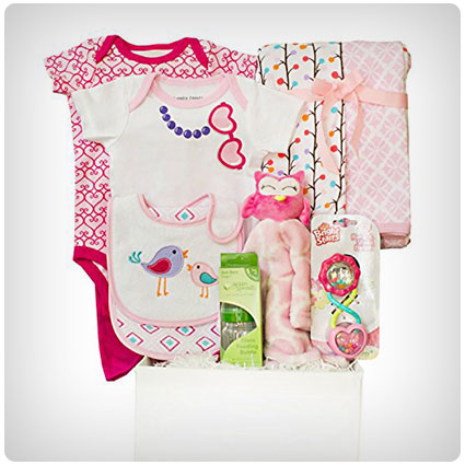 Twosies Deluxe Baby Gift Basket