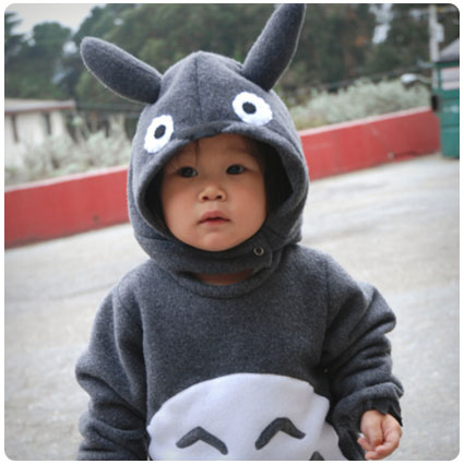 Diy Totoro Costume