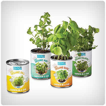 Garden in a Can