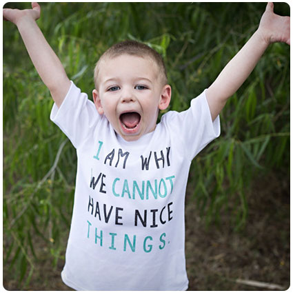 I Am Why We Cannot Have Nice Things T-Shirt