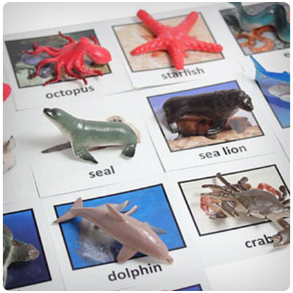 Montessori Ocean Animal Match