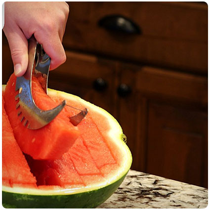 Watermelon Slicer Corer Cutter Server