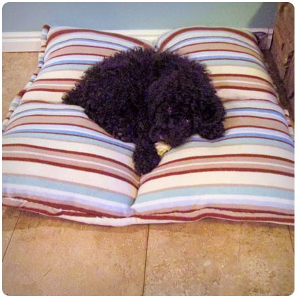 Diy Dog Bed