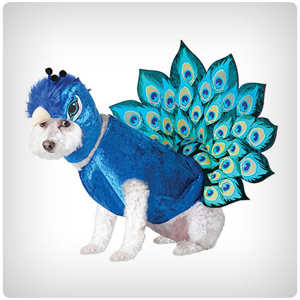 Animal Planet Peacock Dog Costume