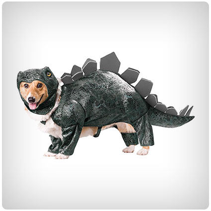 Animal Planet Stegosaurus Dog Costume