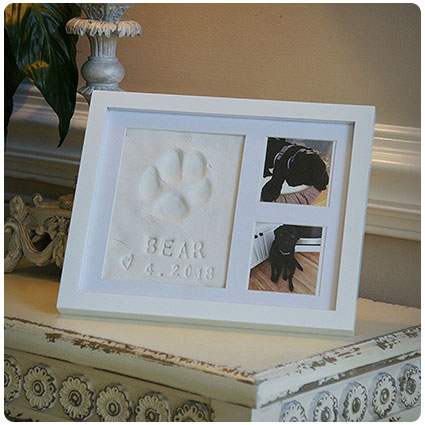 Baby Mushroom Ultimate Dog Keepsake Kit & Picture Frame