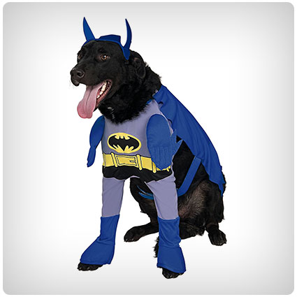 Batman The Brave and the Bold Costume